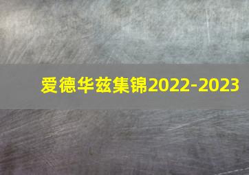 爱德华兹集锦2022-2023