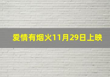 爱情有烟火11月29日上映