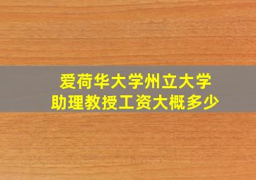 爱荷华大学州立大学助理教授工资大概多少