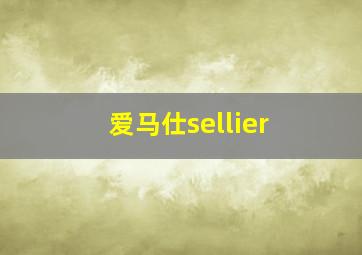 爱马仕sellier