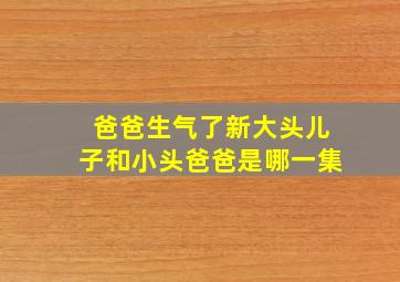 爸爸生气了新大头儿子和小头爸爸是哪一集