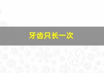 牙齿只长一次