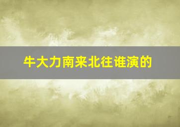 牛大力南来北往谁演的