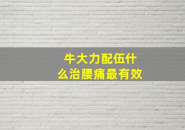 牛大力配伍什么治腰痛最有效