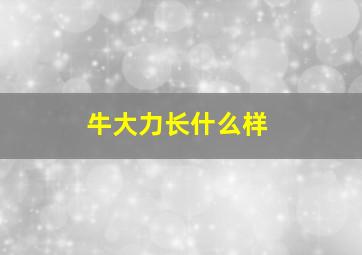 牛大力长什么样