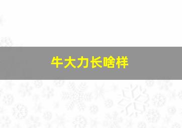 牛大力长啥样