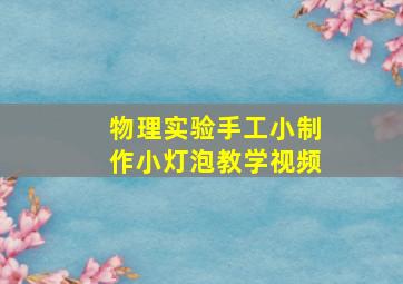 物理实验手工小制作小灯泡教学视频