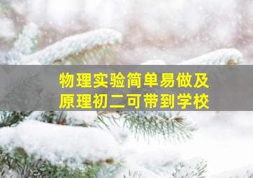 物理实验简单易做及原理初二可带到学校