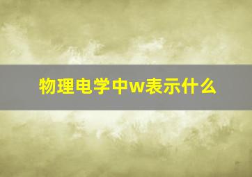 物理电学中w表示什么