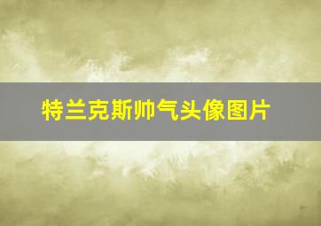 特兰克斯帅气头像图片