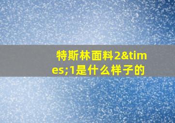 特斯林面料2×1是什么样子的