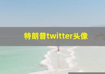 特朗普twitter头像