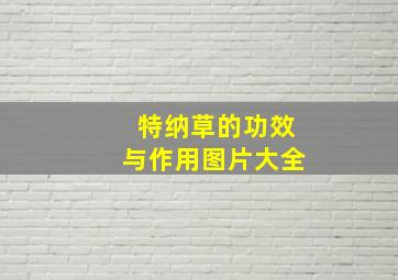 特纳草的功效与作用图片大全