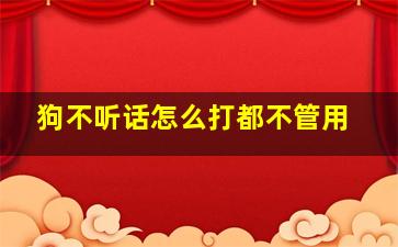 狗不听话怎么打都不管用