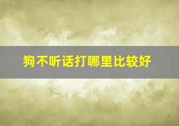 狗不听话打哪里比较好