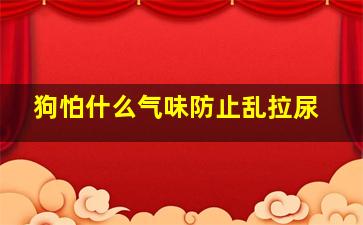 狗怕什么气味防止乱拉尿