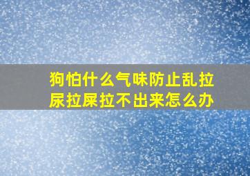 狗怕什么气味防止乱拉尿拉屎拉不出来怎么办