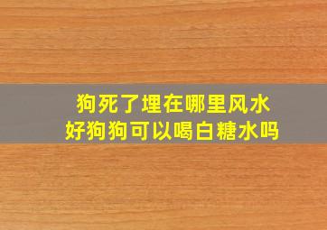 狗死了埋在哪里风水好狗狗可以喝白糖水吗