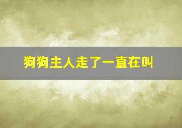 狗狗主人走了一直在叫