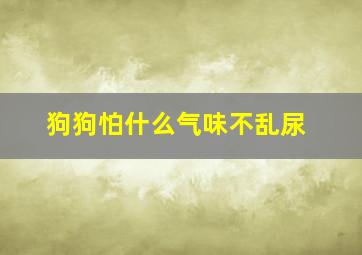 狗狗怕什么气味不乱尿