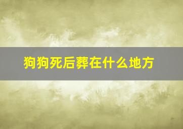 狗狗死后葬在什么地方