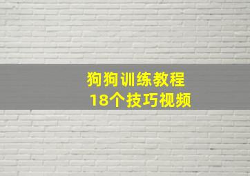 狗狗训练教程18个技巧视频