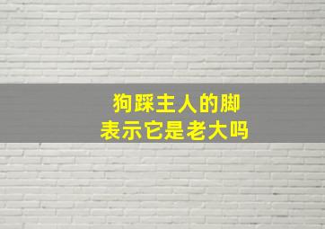 狗踩主人的脚表示它是老大吗