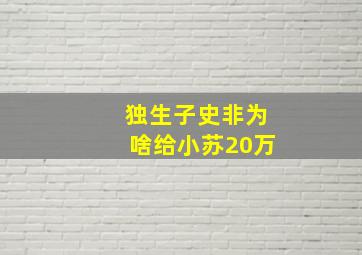 独生子史非为啥给小苏20万