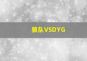 狼队VSDYG