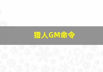 猎人GM命令