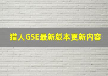 猎人GSE最新版本更新内容