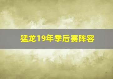 猛龙19年季后赛阵容