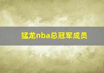 猛龙nba总冠军成员