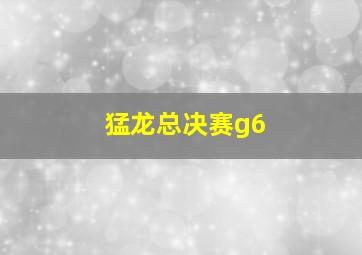 猛龙总决赛g6