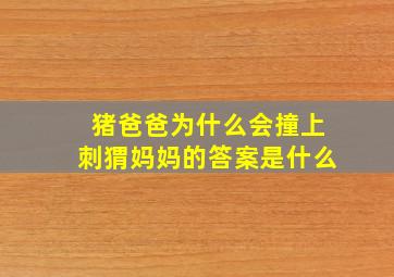 猪爸爸为什么会撞上刺猬妈妈的答案是什么