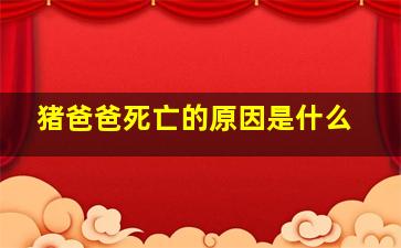 猪爸爸死亡的原因是什么