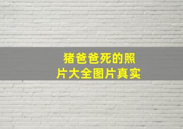 猪爸爸死的照片大全图片真实