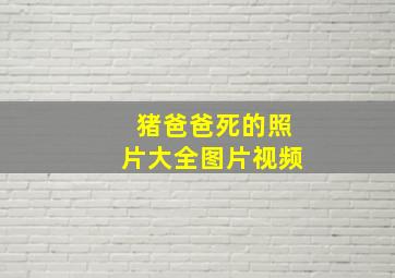 猪爸爸死的照片大全图片视频