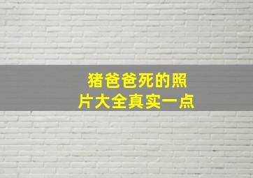 猪爸爸死的照片大全真实一点