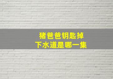 猪爸爸钥匙掉下水道是哪一集