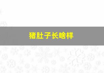 猪肚子长啥样