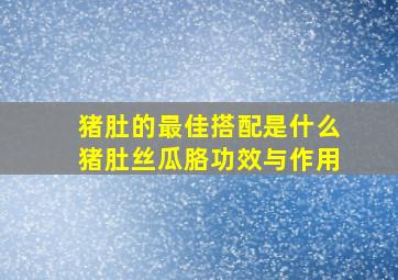 猪肚的最佳搭配是什么猪肚丝瓜胳功效与作用