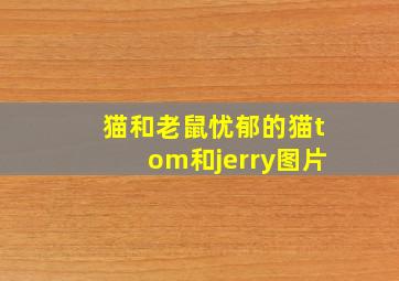 猫和老鼠忧郁的猫tom和jerry图片