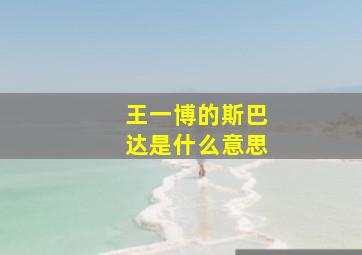 王一博的斯巴达是什么意思