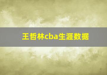 王哲林cba生涯数据