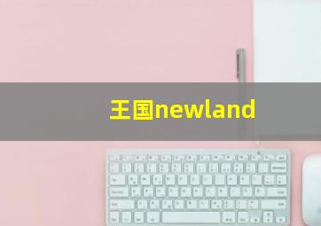 王国newland