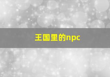 王国里的npc