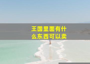 王国里面有什么东西可以卖