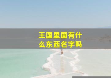 王国里面有什么东西名字吗