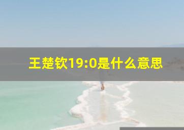 王楚钦19:0是什么意思